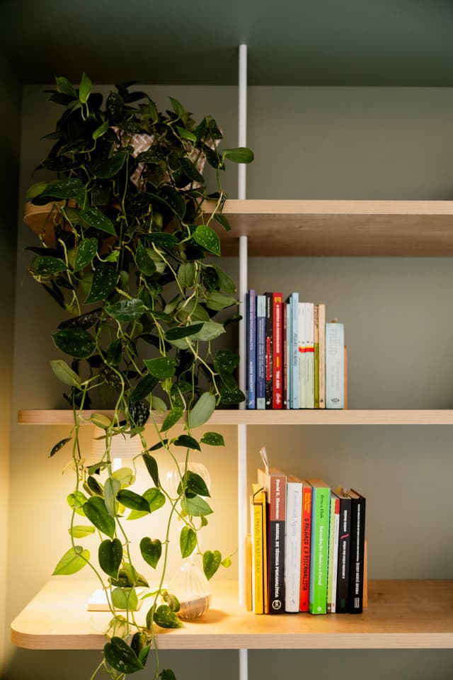 Estante com livros de psicologia, planta e luminária no consultório acolhedor